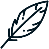 Feather Icon